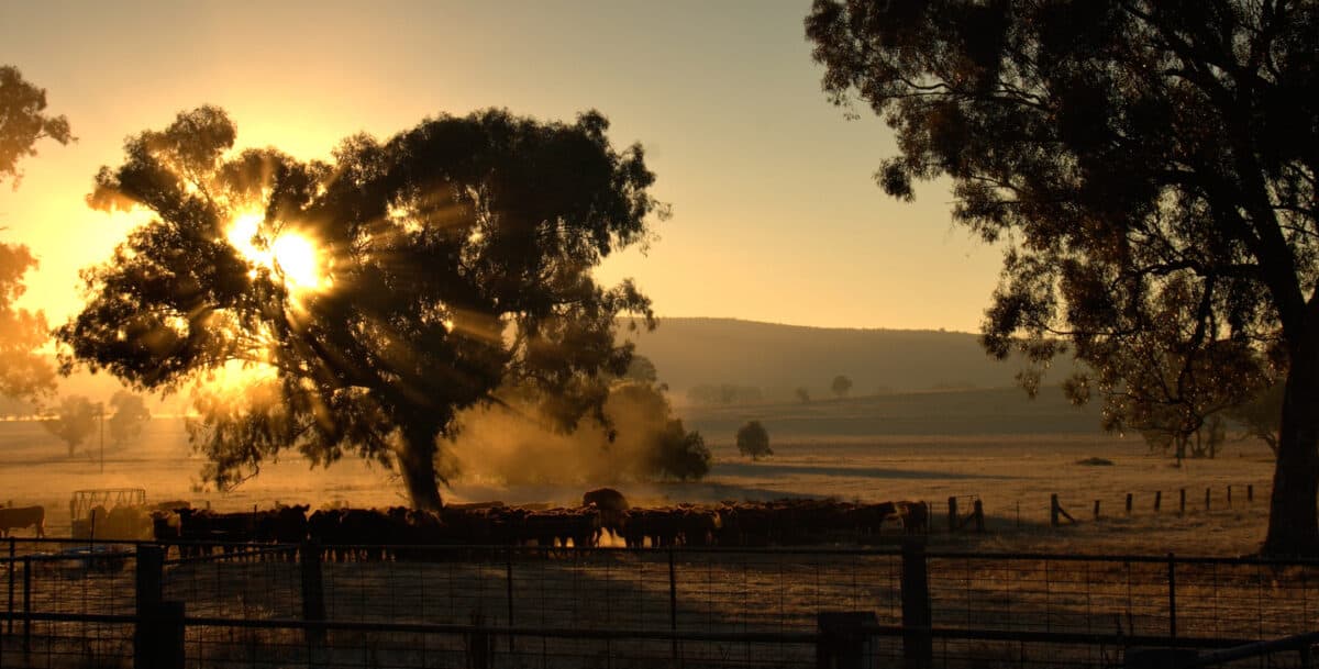 Farm safety is unique, not