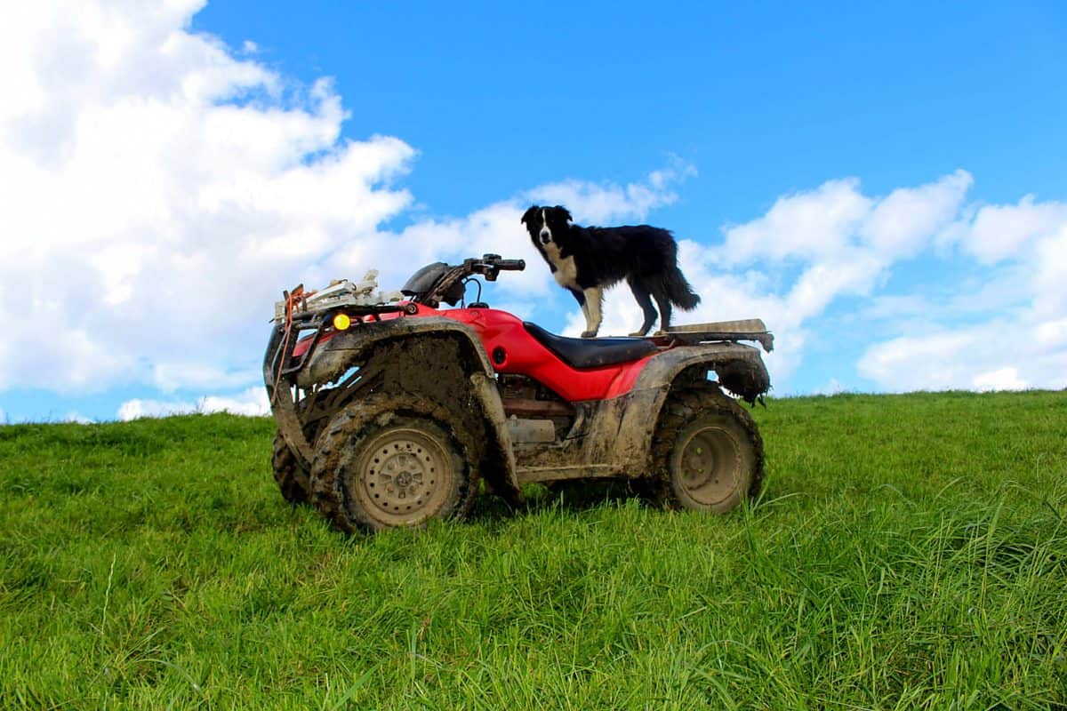 The quad bike safety puzzle